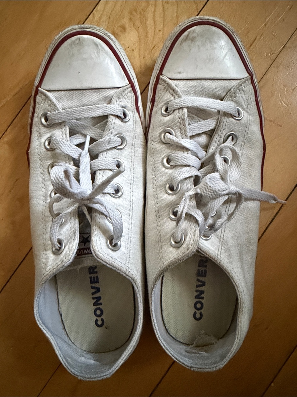 Converse Chuck Taylor Allstar Low Top Sneakers - Picture 6 of 6